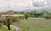 Treasury Wine sustainability report