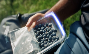 Bostik peelable film